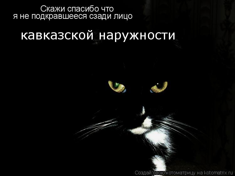 Котоматрица: Скажи спасибо что кавказской наружности я не подкравшееся сзади лицо
