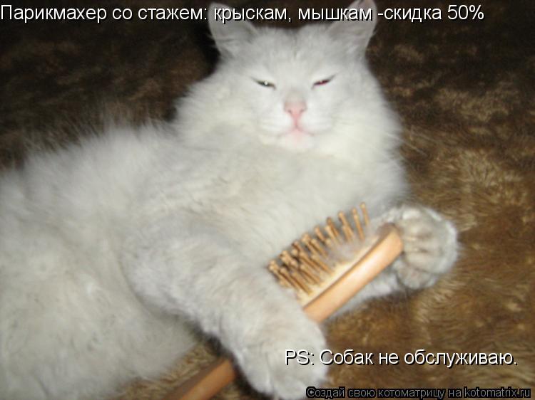 Котоматрица: Парикмахер со стажем: крыскам, мышкам -скидка 50% PS: Собак не обслуживаю.