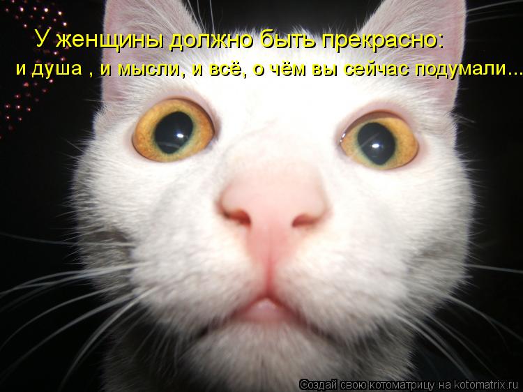 У женщины должно быть прекрасно: и душа , и мысли, и всё, о чём вы сейчас подумали....... Котоматрица: У женщины должно быть прекрасно: и душа , и мысли, и всё, о чём вы сейчас подумали....