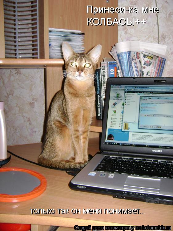 Принеси-ка мне КОЛБАСЫ++ только так он меня понимает...... Котоматрица: Принеси-ка мне КОЛБАСЫ++ только так он меня понимает...
