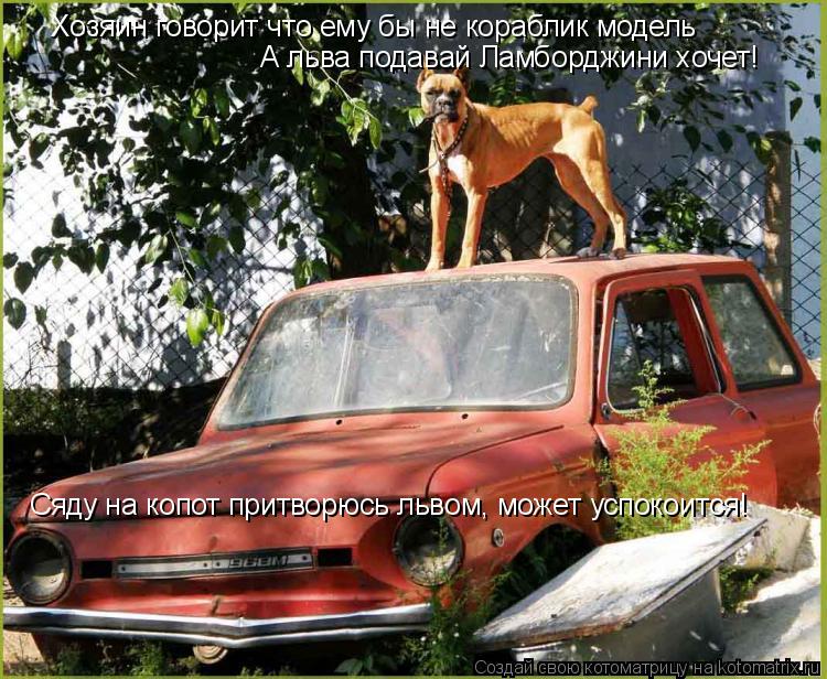 Хозяин говорит что ему бы не кораблик модель А льва подавай Ламборджини хочет! Сяду на копот притворю... Котоматрица: Хозяин говорит что ему бы не кораблик модель А льва подавай Ламборджини хочет! Сяду на копот притворюсь львом, может успокоится!