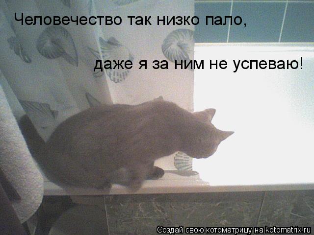 Котоматрица: Человечество так низко пало, даже я за ним не успеваю!