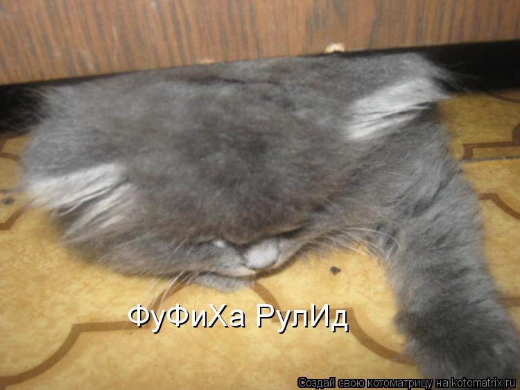 ФуФиХа РулИд... Котоматрица: ФуФиХа РулИд