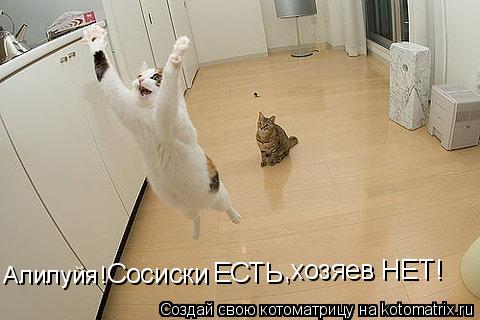 Котоматрица: Алилуйя! Сосиски ЕСТЬ ,хозяев НЕТ!