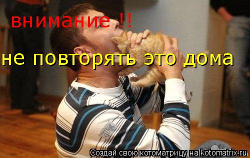 Котоматрица: внимание !! не повторять это дома