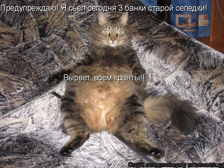 Предупреждаю! Я сьел сегодня 3 банки старой селедки! Вырвет, всем кранты!!... Котоматрица: Предупреждаю! Я сьел сегодня 3 банки старой селедки! Вырвет, всем кранты!!