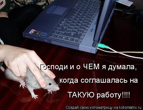 Господи и о ЧЕМ я думала, когда соглашалась на ТАКУЮ работу!!!!... Котоматрица: Господи и о ЧЕМ я думала, когда соглашалась на ТАКУЮ работу!!!!