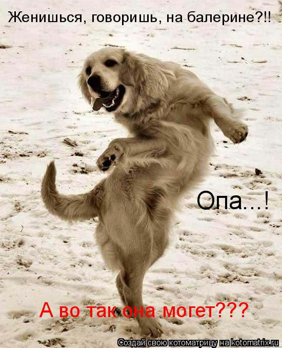 Котоматрица: Женишься, говоришь, на балерине?!! Опа...! А во так она могет???