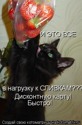Котоматрица: И ЭТО ВСЕ  в нагрузку к СЛИВКАМ??? Дисконтную карту!  Быстро!