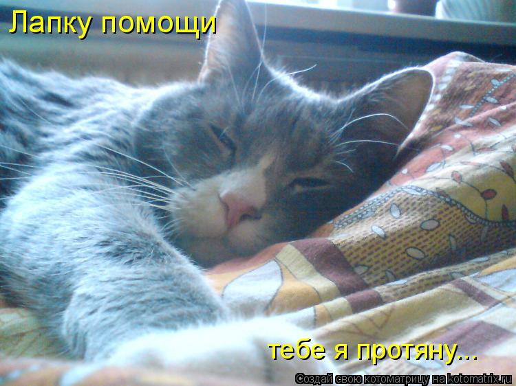 Котоматрица: Лапку помощи тебе я протяну...