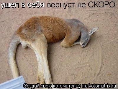 ушел в себя вернуст не СКОРО... Котоматрица: ушел в себя вернуст не СКОРО