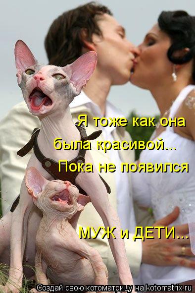 Я тоже как она была красивой... Пока не появился МУЖ и ДЕТИ...... Котоматрица: Я тоже как она была красивой... Пока не появился МУЖ и ДЕТИ...