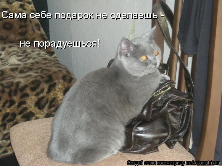 Сама себе подарок не сделаешь - не порадуешься!... Котоматрица: Сама себе подарок не сделаешь - не порадуешься!