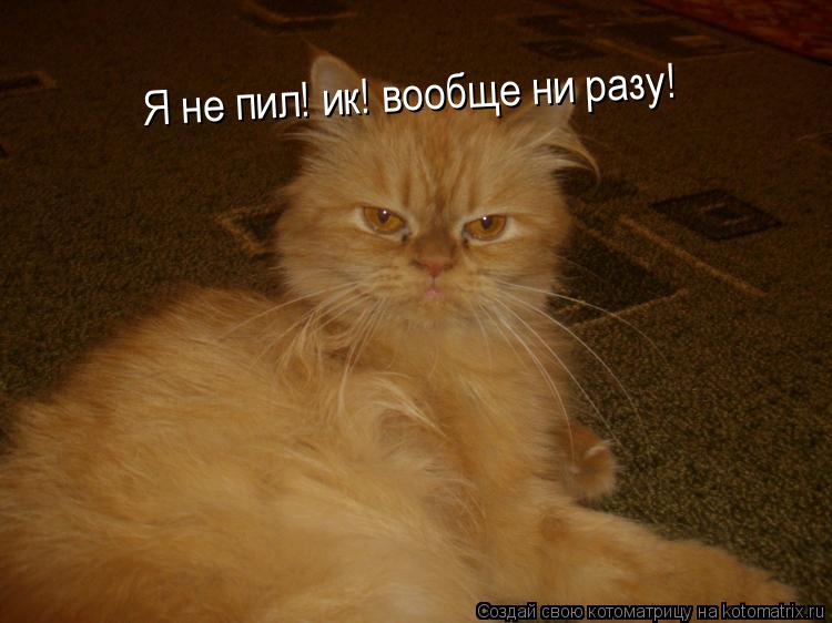 Котоматрица: Я не пил! ик! вообще ни разу!