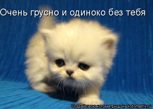 Котоматрица: Очень грусно и одиноко без тебя