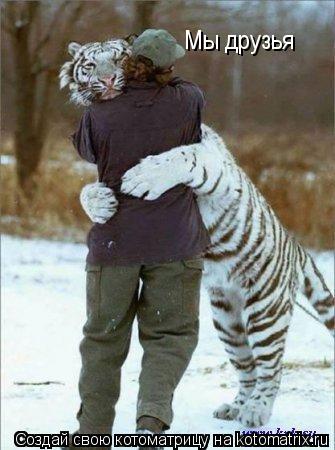 Котоматрица: Мы друзья