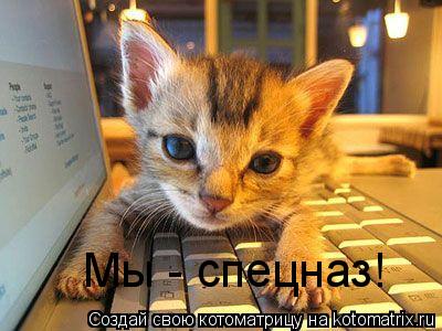Котоматрица: Мы - спецназ!