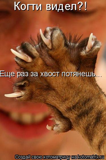 Котоматрица: Когти видел?! Еще раз за хвост потянешь...
