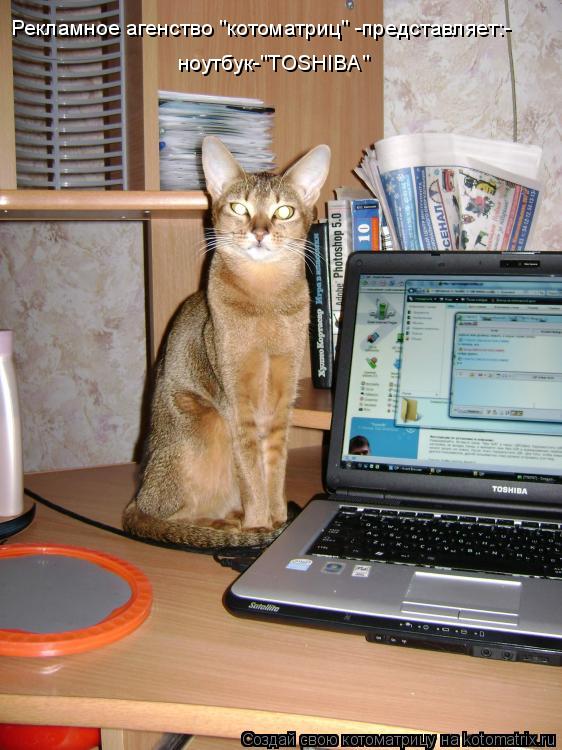 Рекламное агенство "котоматриц" -представляет:- ноутбук-"TOSHIBA"... Котоматрица: Рекламное агенство "котоматриц" -представляет:- ноутбук-"TOSHIBA"