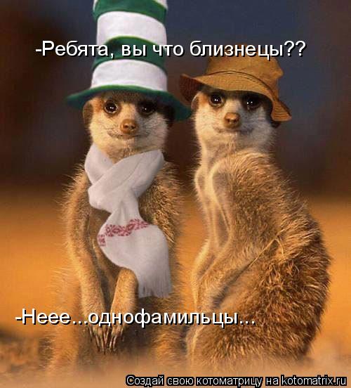 Котоматрица: -Неее...однофамильцы... -Ребята, вы что близнецы??