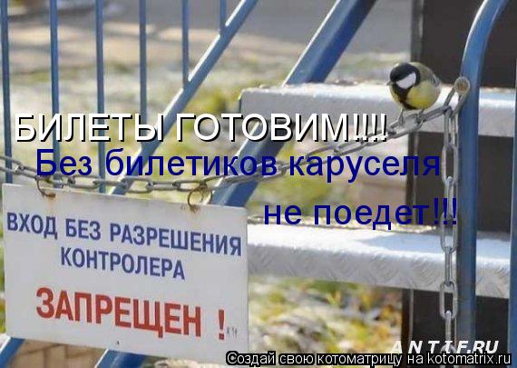Котоматрица: БИЛЕТЫ ГОТОВИМ!!!! Без билетиков каруселя   не поедет!!!