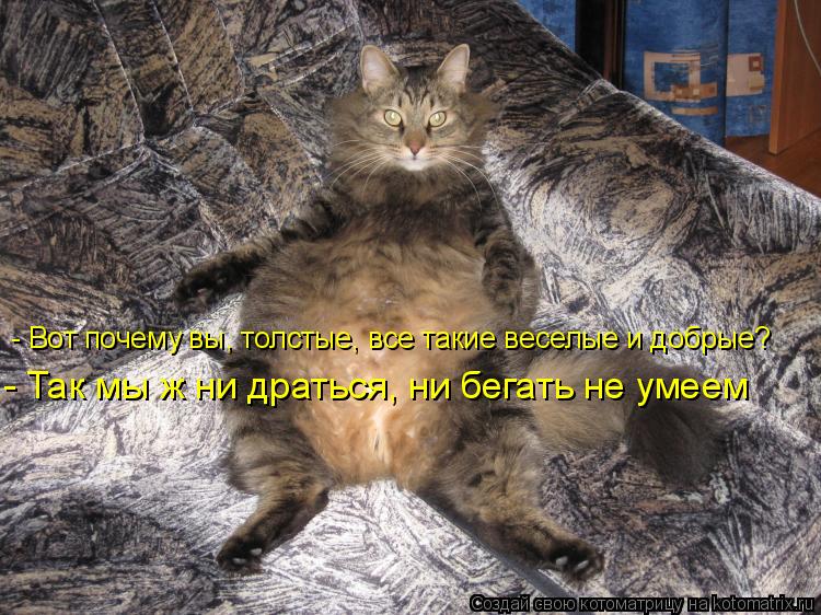 - Вот почему вы, толстые, все такие веселые и добрые? - Так мы ж ни драться, ни бегать не умеем... Котоматрица: - Вот почему вы, толстые, все такие веселые и добрые? - Так мы ж ни драться, ни бегать не умеем