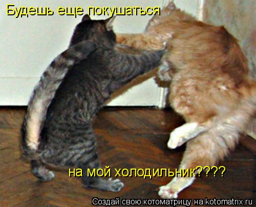 Котоматрица: Будешь еще покушаться на мой холодильник????
