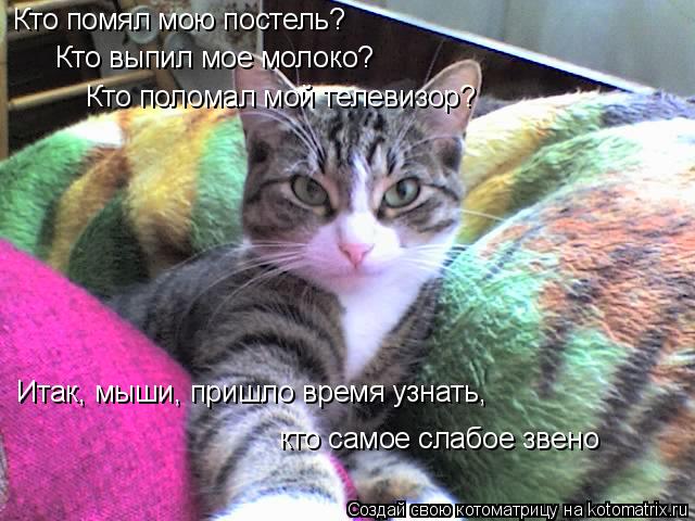 Котоматрица: Кто помял мою постель? Кто выпил мое молоко? Кто поломал мой телевизор? Итак, мыши, пришло время узнать, кто самое слабое звено