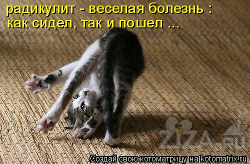 радикулит - веселая болезнь : как сидел, так и пошел ...... Котоматрица: радикулит - веселая болезнь : как сидел, так и пошел ...