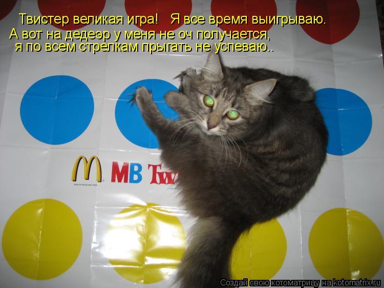 Котоматрица: Твистер великая игра! Я все время выигрываю. А вот на дедеэр у меня не оч получается, я по всем стрелкам прыгать не успеваю..