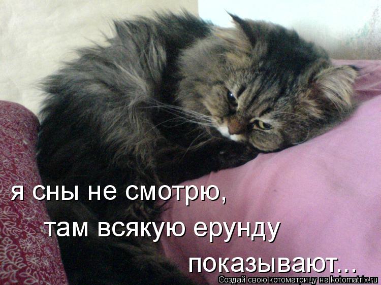 там всякую ерунду показывают... я сны не смотрю,... Котоматрица: там всякую ерунду показывают... я сны не смотрю,