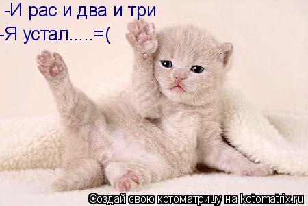 -И рас и два и три -Я устал.....=(... Котоматрица: -И рас и два и три -Я устал.....=(