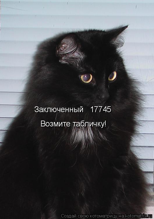 Котоматрица: Заключенный № 17745 Возмите табличку!