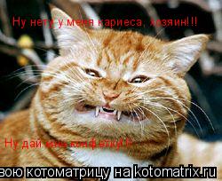 Котоматрица: Ну нету у меня кариеса, хозяин!!!  Ну дай мне конфетку!!!