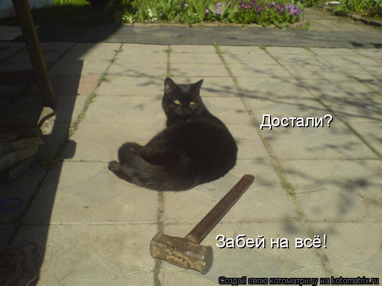 Котоматрица: Достали? Забей на всё!