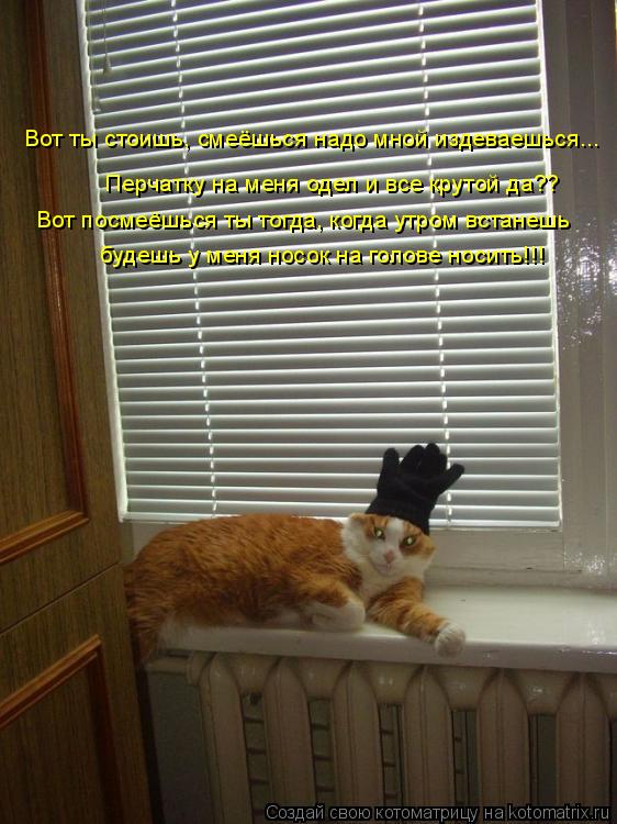 Вот ты стоишь, смеёшься надо мной издеваешься... Перчатку на меня одел и все крутой да?? Вот посмеёшь... Котоматрица: Вот ты стоишь, смеёшься надо мной издеваешься... Перчатку на меня одел и все крутой да?? Вот посмеёшься ты тогда, когда утром встанешь будешь