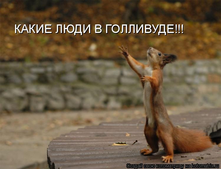 КАКИЕ ЛЮДИ В ГОЛЛИВУДЕ!!!... Котоматрица: КАКИЕ ЛЮДИ В ГОЛЛИВУДЕ!!!