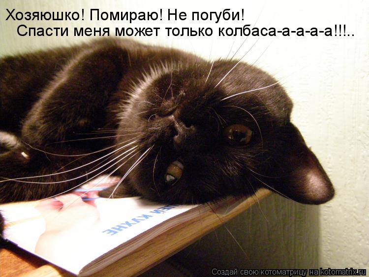 Котоматрица: Хозяюшко! Помираю! Не погуби!  Спасти меня может только колбаса-а-а-а-а!!!..