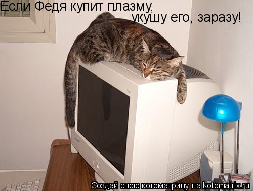 Котоматрица: Если Федя купит плазму, укушу его, заразу!