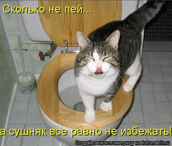 Котоматрица: Сколько не пей... а сушняк все равно не избежать!