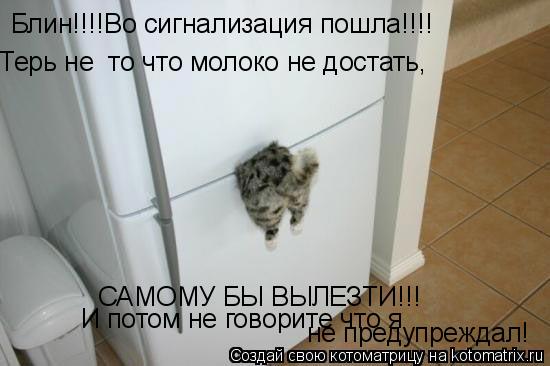 Блин!!!!Во сигнализация пошла!!!! Терь не то что молоко не достать, САМОМУ БЫ ВЫЛЕЗТИ!!! И потом не ... Котоматрица: Блин!!!!Во сигнализация пошла!!!! Терь не то что молоко не достать, САМОМУ БЫ ВЫЛЕЗТИ!!! И потом не говорите что я не предупреждал!