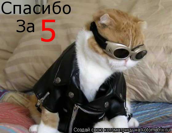 Спасибо За 5... Котоматрица: Спасибо За 5