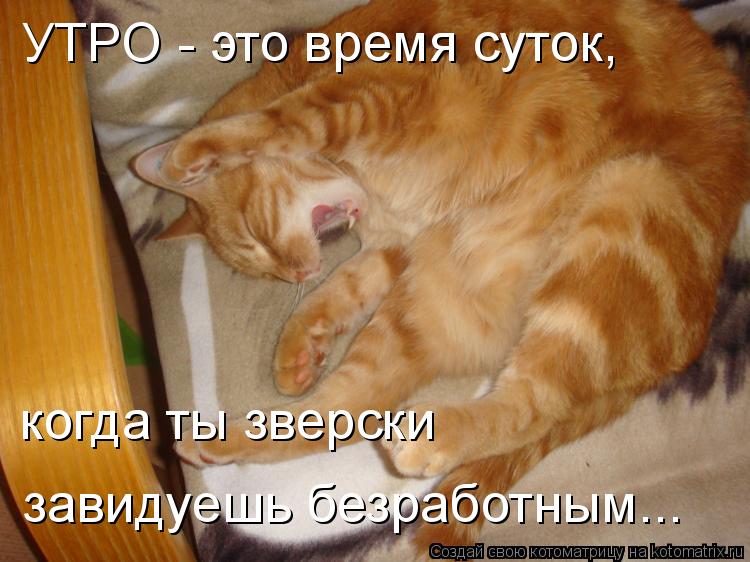 УТРО - это время суток, когда ты зверски завидуешь безработным...... Котоматрица: УТРО - это время суток, когда ты зверски завидуешь безработным...