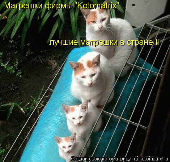 Матрешки фирмы "Kotomatrix"... лучшие матрешки в стране!!!... Котоматрица: Матрешки фирмы "Kotomatrix"... лучшие матрешки в стране!!!