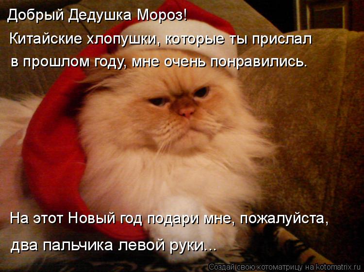 Добрый Дедушка Мороз! Китайские хлопушки, которые ты прислал в прошлом году, мне очень понравились. Н... Котоматрица: Добрый Дедушка Мороз! Китайские хлопушки, которые ты прислал в прошлом году, мне очень понравились. На этот Новый год подари мне, пожалуйста