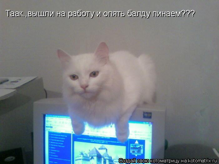 Котоматрица: Таак.,вышли на работу и опять балду пинаем???