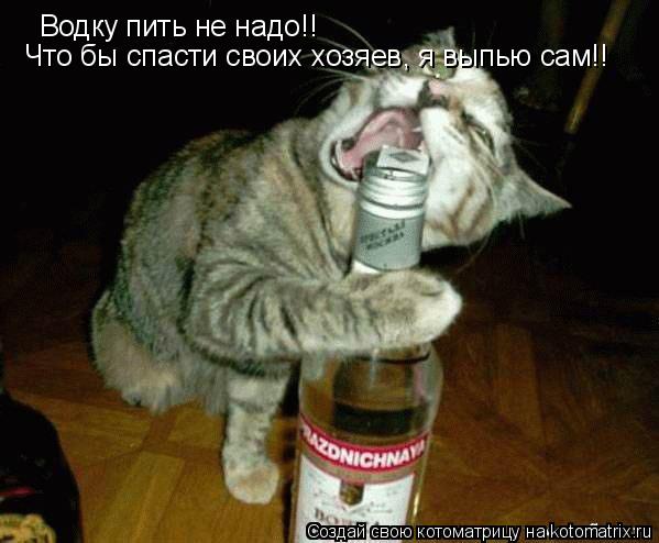 Водку пить не надо!! Что бы спасти своих хозяев, я выпью сам!!... Котоматрица: Водку пить не надо!! Что бы спасти своих хозяев, я выпью сам!!