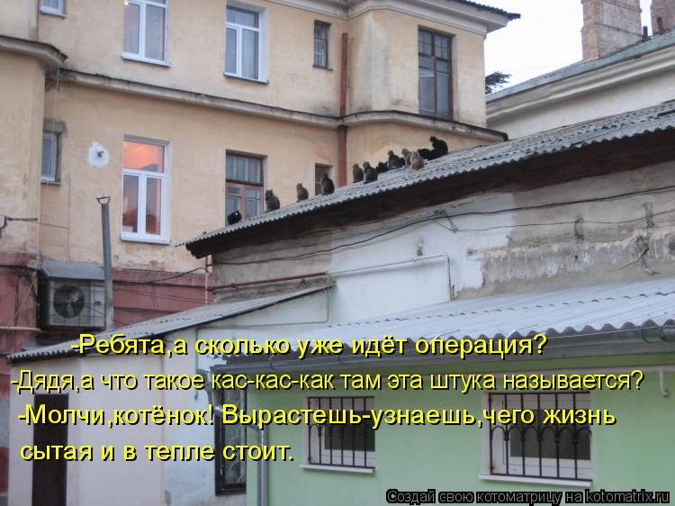 Котоматрица: -Ребята,а сколько уже идёт операция? -Дядя,а что такое кас-кас-как там эта штука называется? -Молчи,котёнок! Вырастешь-узнаешь,чего жизнь сыта