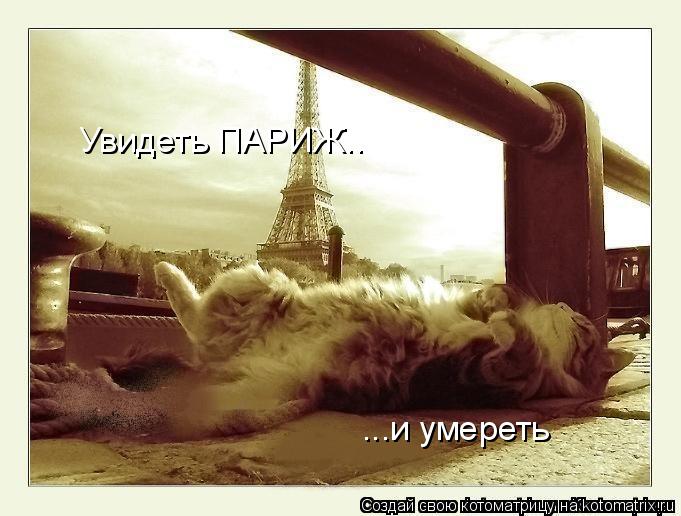Котоматрица: Увидеть ПАРИЖ.. ...и умереть