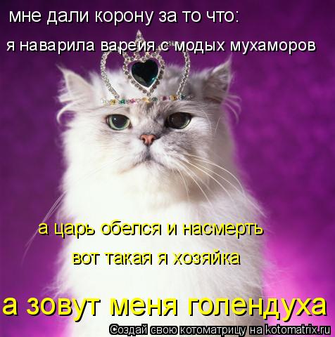 мне дали корону за то что: я наварила вареия с модых мухаморов а царь обелся и насмерть вот такая я х... Котоматрица: мне дали корону за то что: я наварила вареия с модых мухаморов а царь обелся и насмерть вот такая я хозяйка а зовут меня голендуха